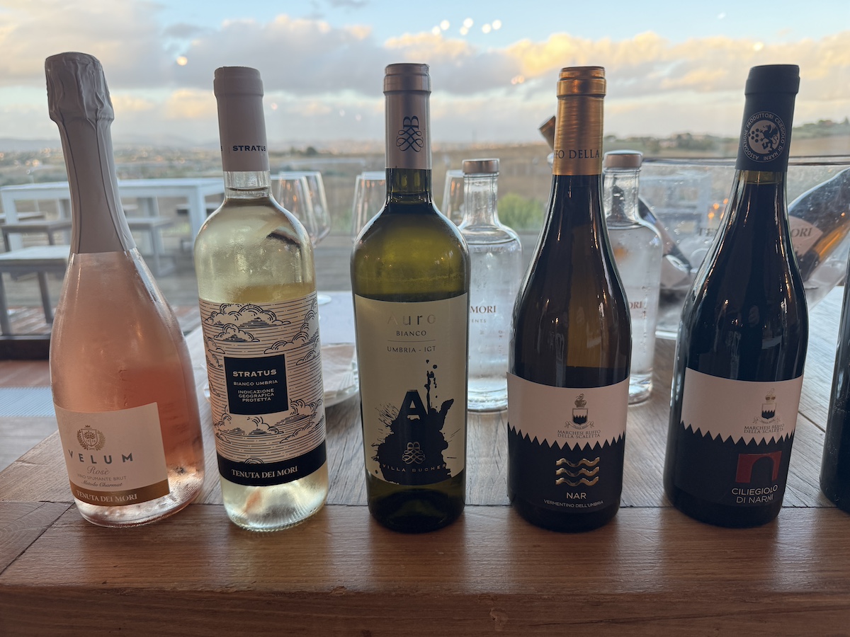 I Vini in degustazione