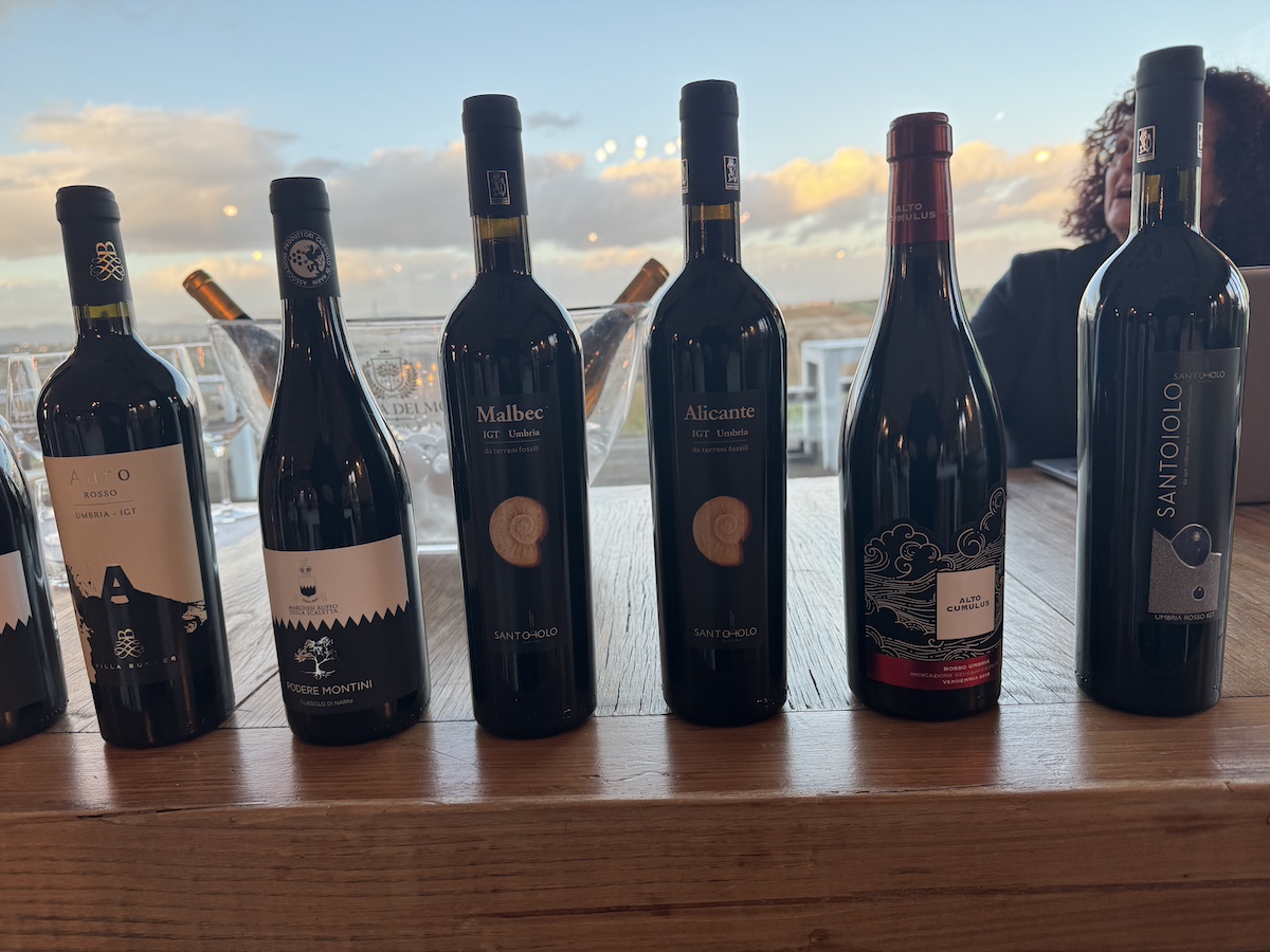 I Vini in degustazione