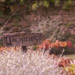 Monteverdi