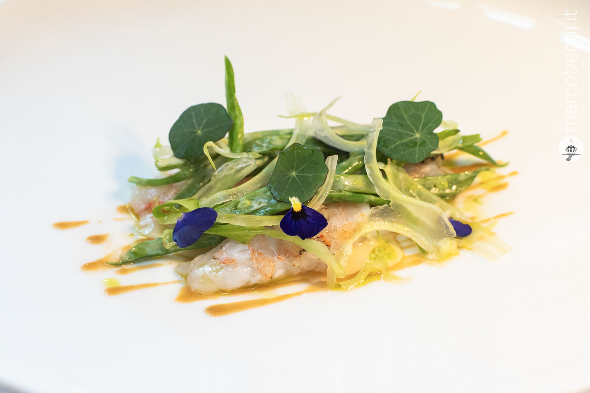Scampi, fagiolini e puntarelle