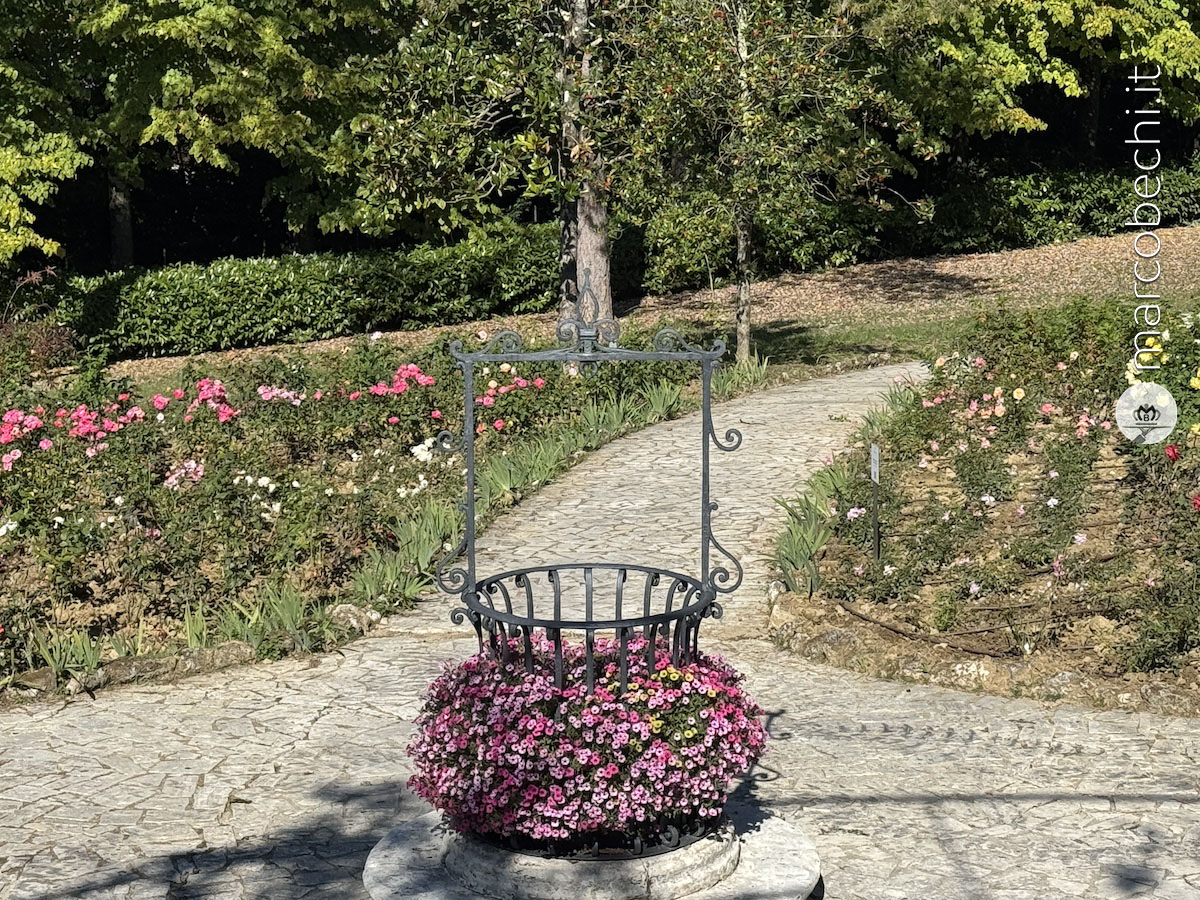 Il giardino delle rose