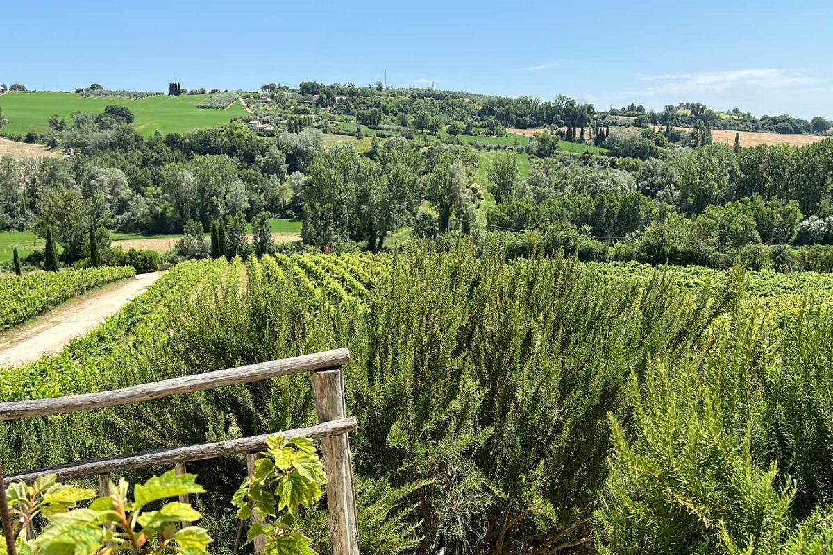 Cantine Etiche