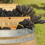 Il Borro