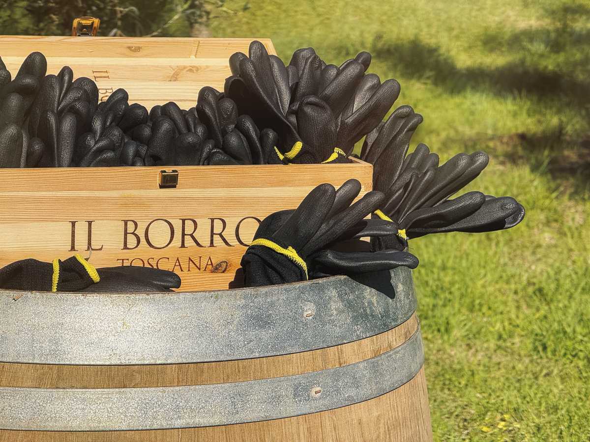 Il Borro