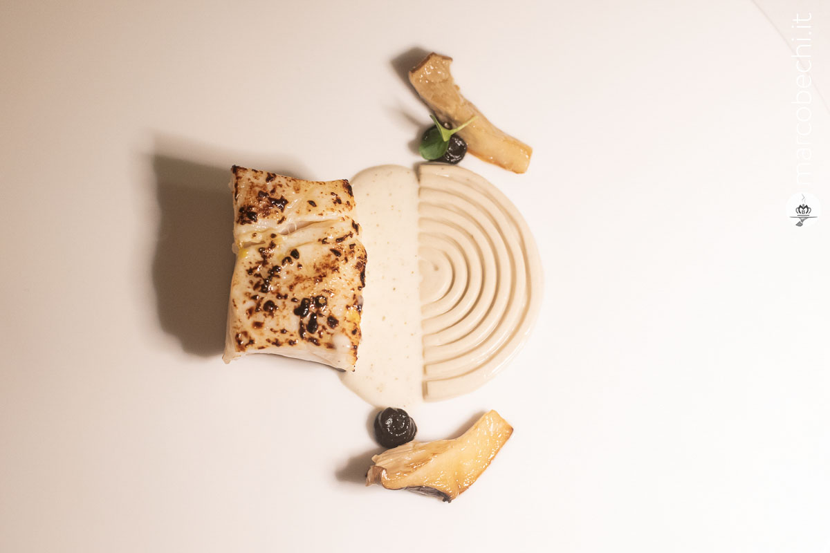 Filetto di dentice con funghi cardoncelli, aglio nero e salsa al pepe verde
