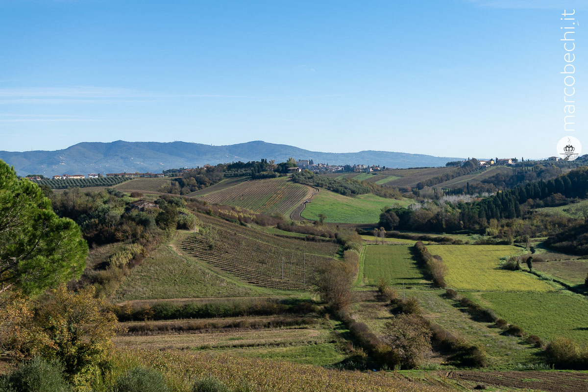 La campagna intorno a Villa Petriolo