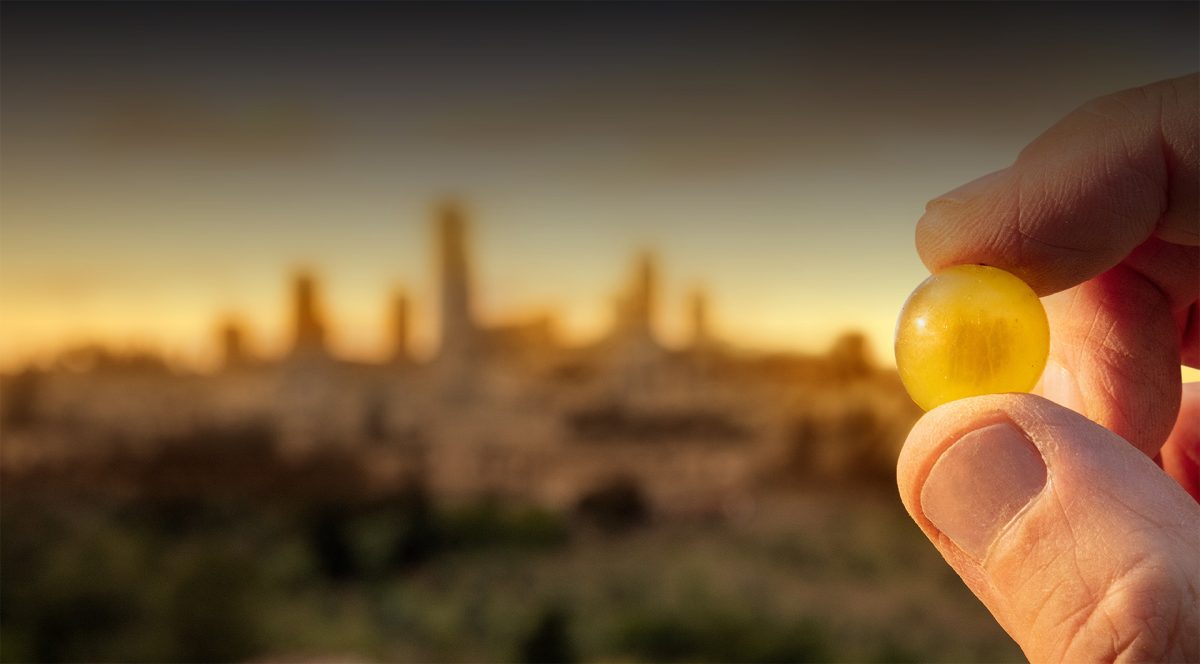 Vernaccia di San Gimignano - 60 anni (dal sito del Consorzio)