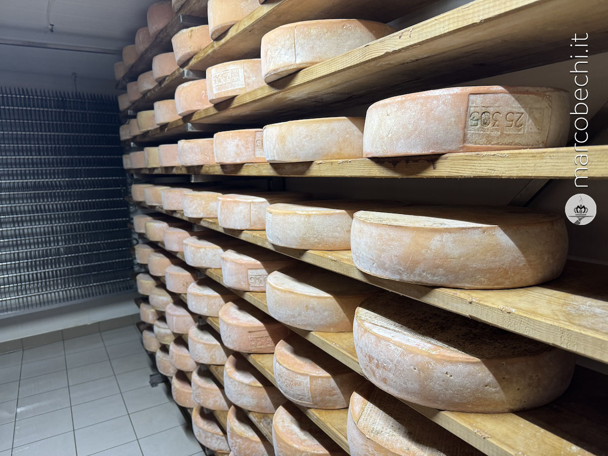 Il crudo di Moena a stagionare