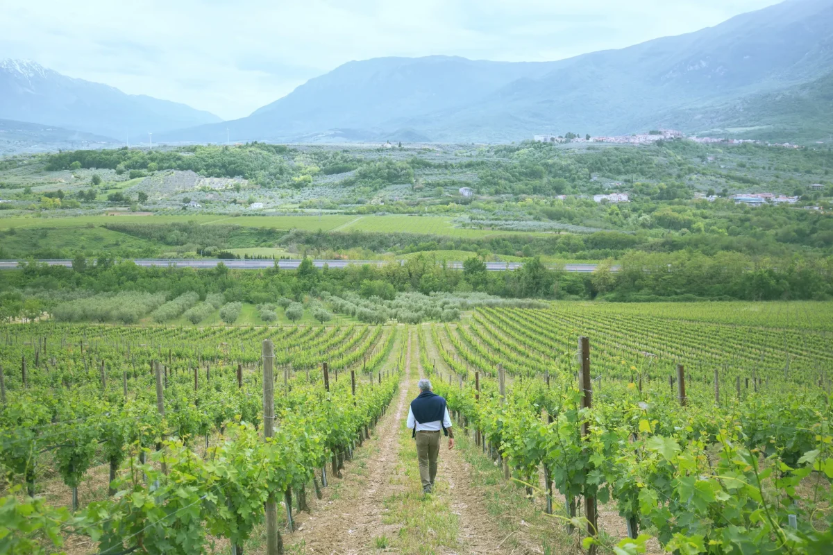 Tenuta Secolo IX