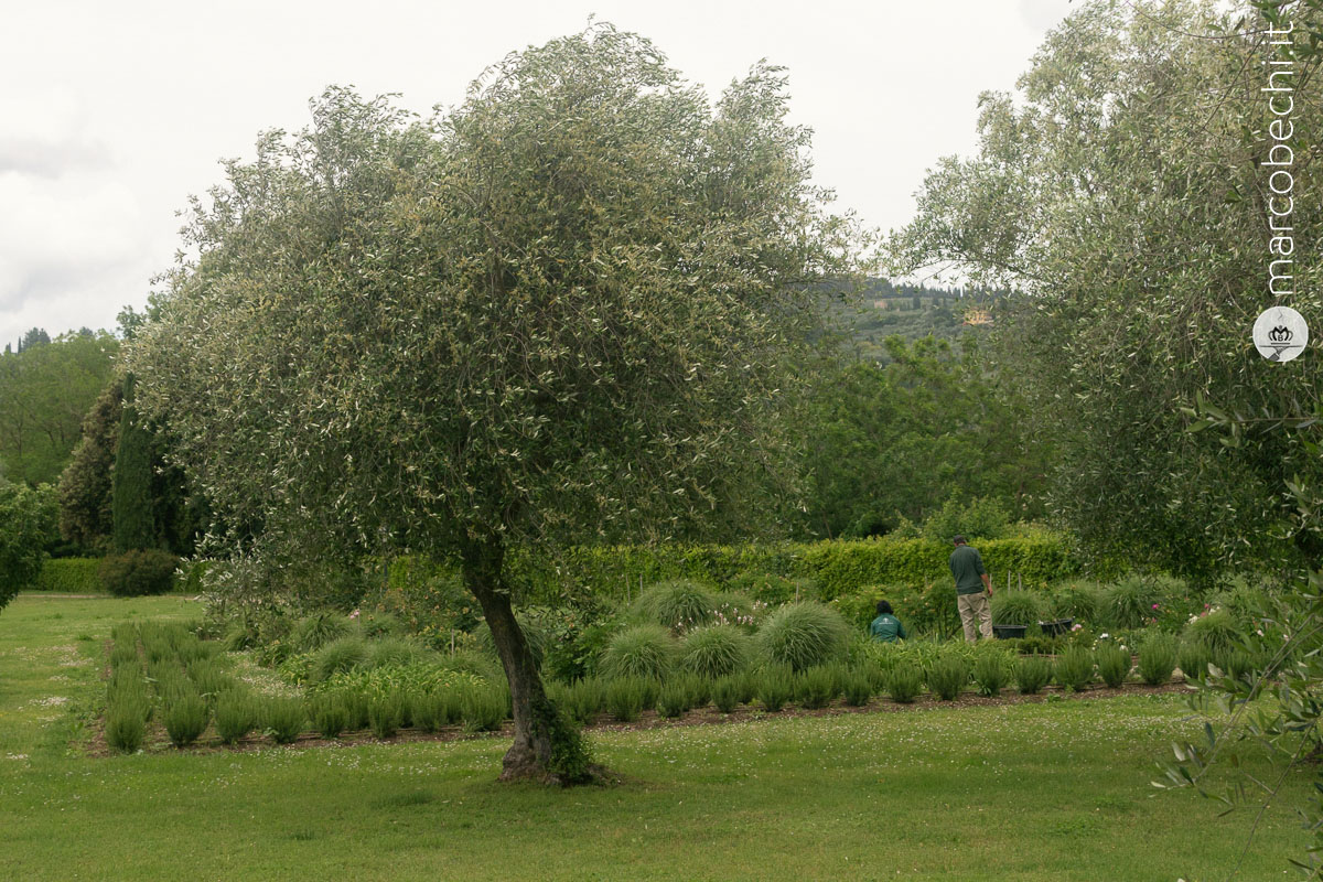 Il Parco di Villa La Massa