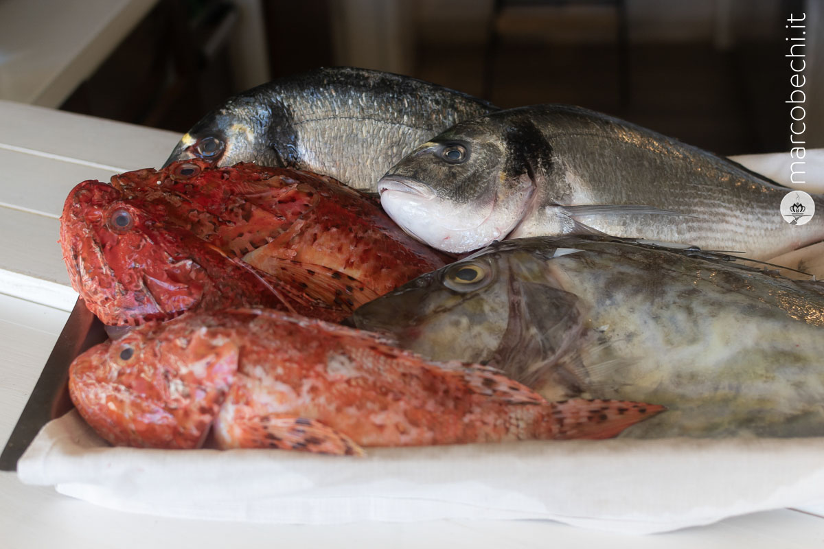 Il pescato del giorno