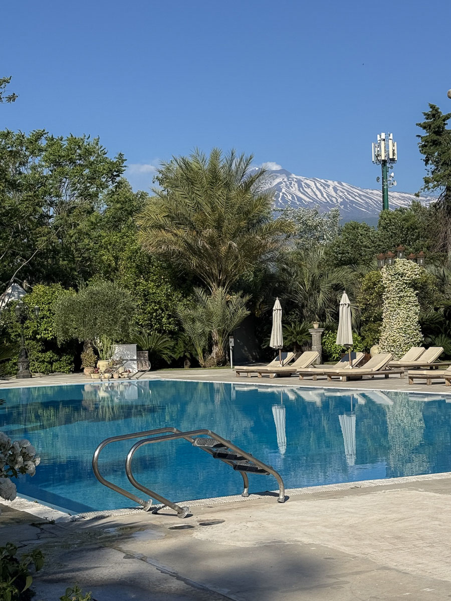 La piscina e il palmeto