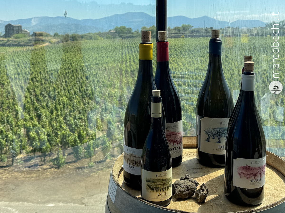Custodi delle vigne dell'Etna