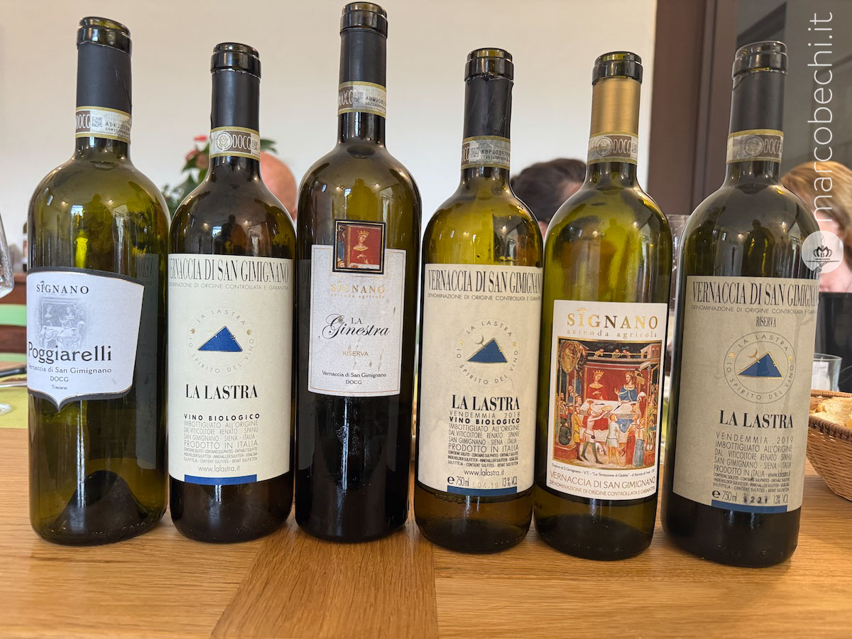 Alcuni dei vini a confronto