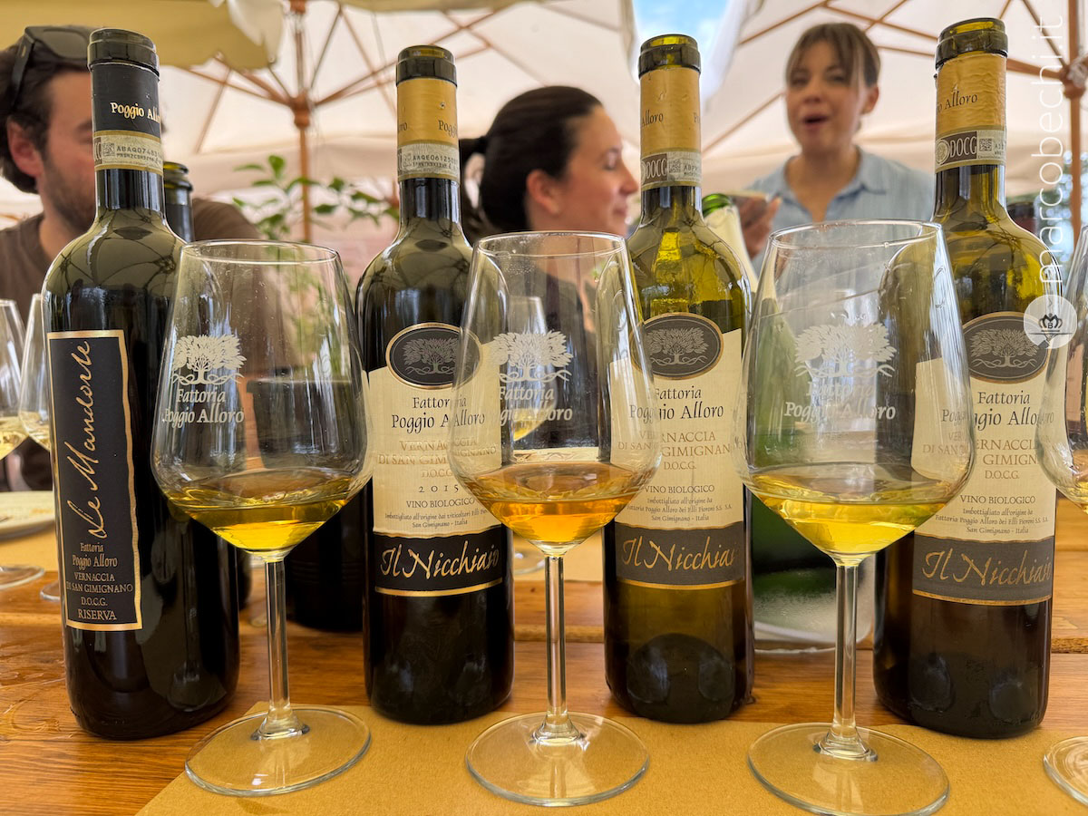 Alcuni dei vini di Poggioalloro