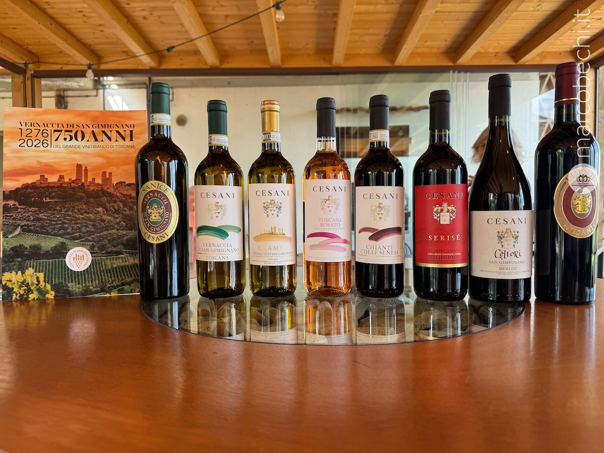 I vini di Cesani