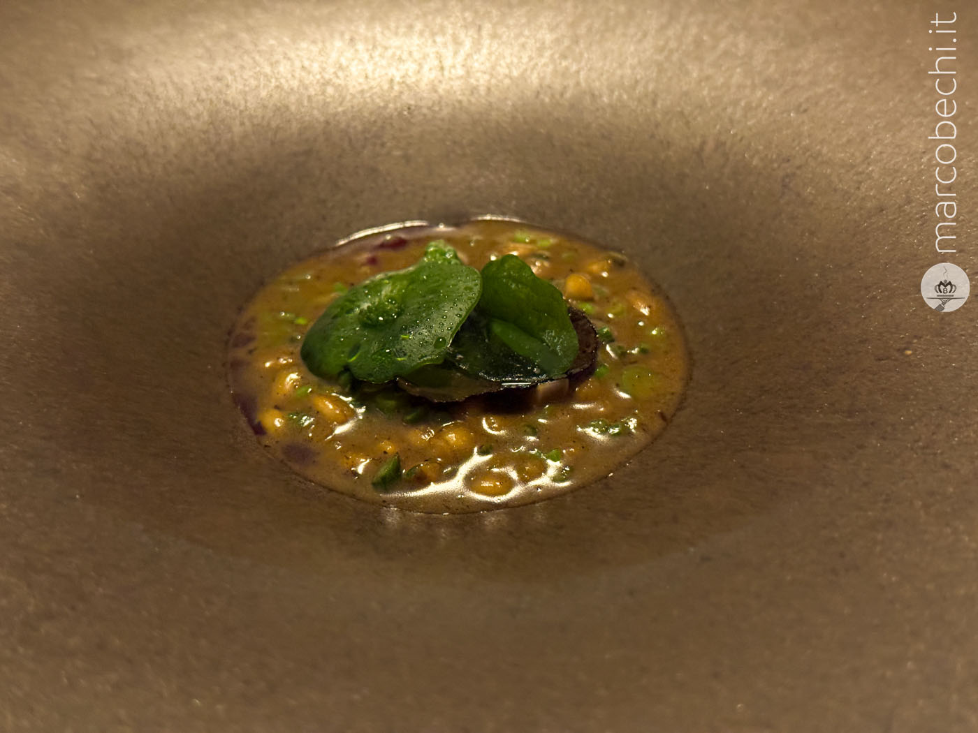 Orzotto frutti e germogli