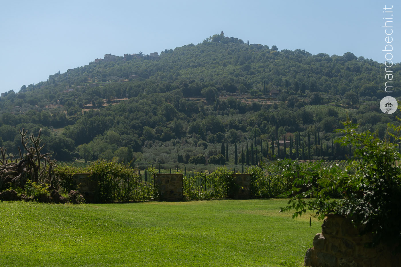La vigna di Capanna