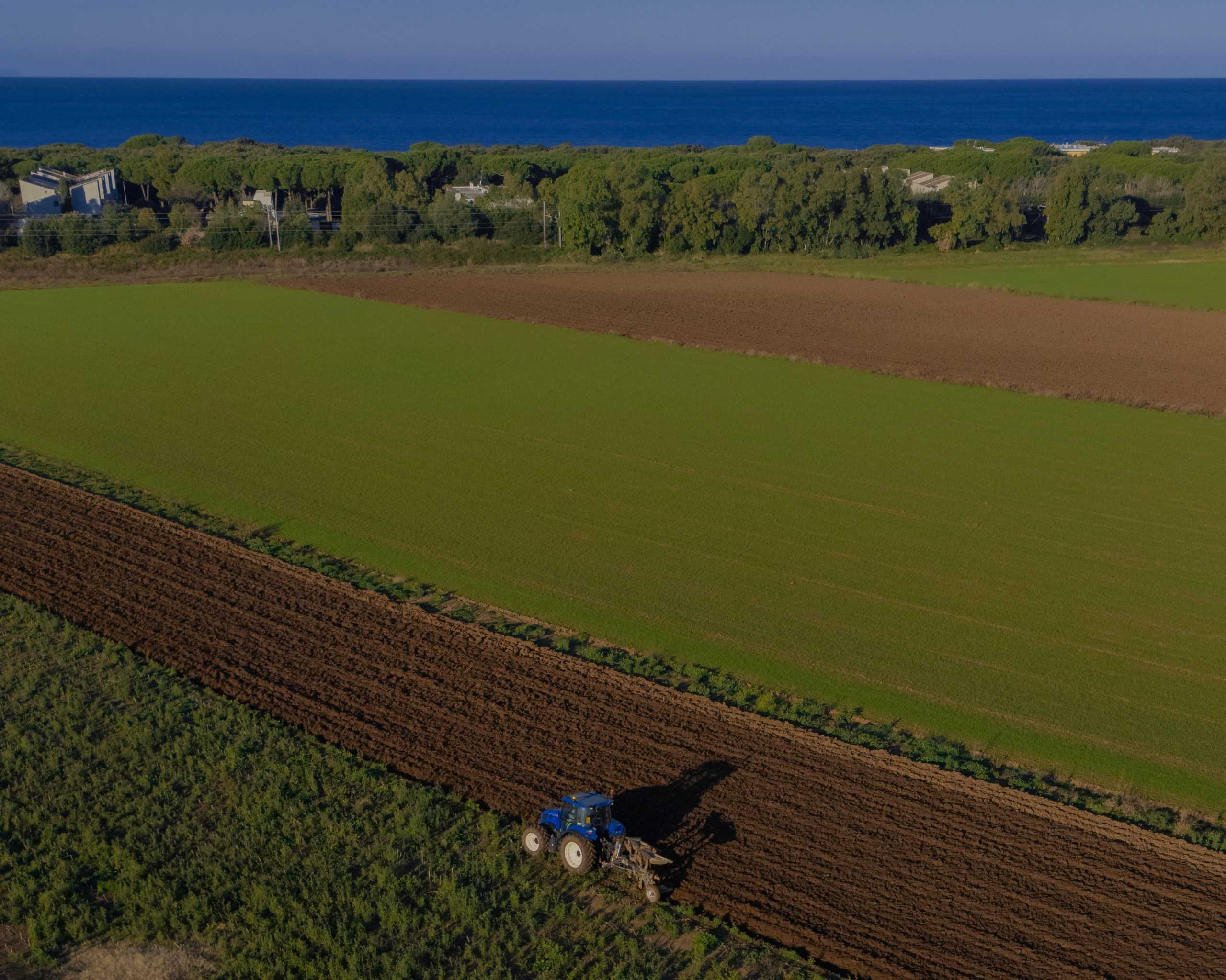Tenuta di Guardamare