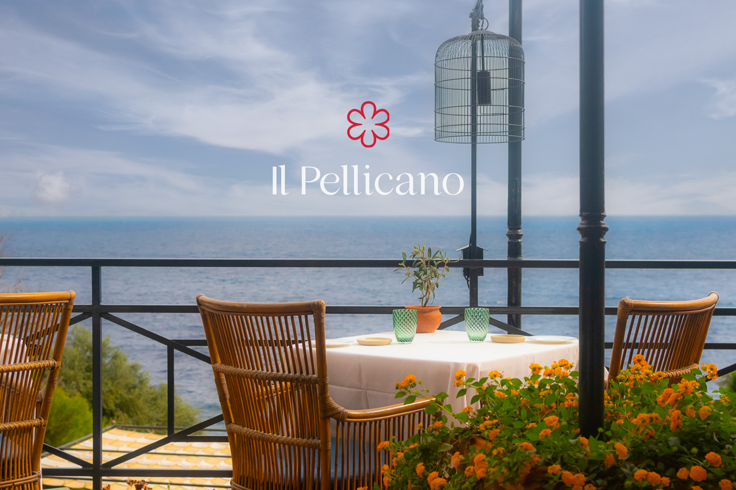 Il Pellicano