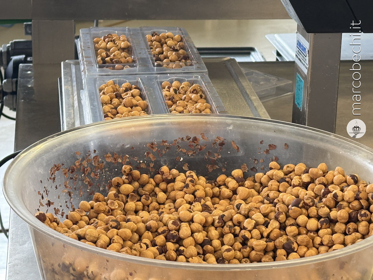 Le nocciole tostate
